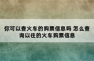 你可以查火车的购票信息吗 怎么查询以往的火车购票信息